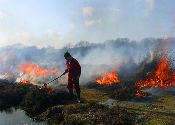 Controlled burn with Keeper Real New Forest Guide