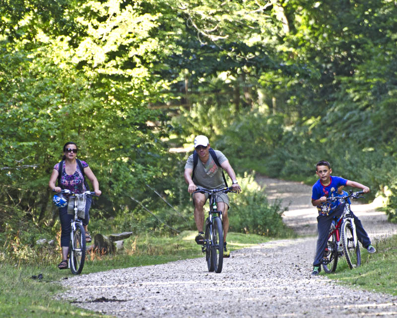 Cycling – Real New Forest Guide